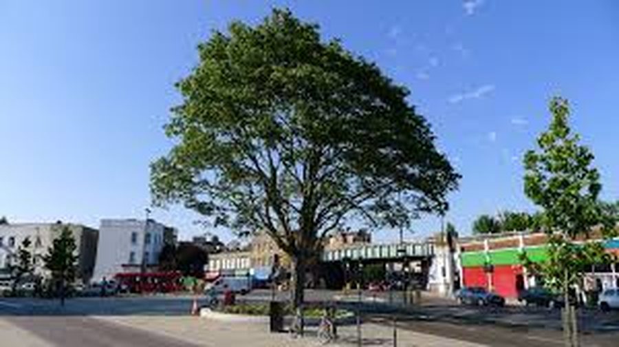 Herne Hill & Dulwich