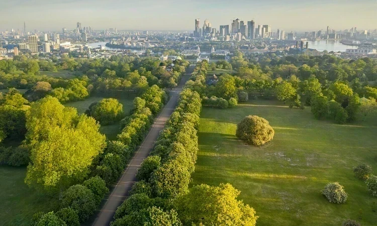 Greenwich & Blackheath Main Pic